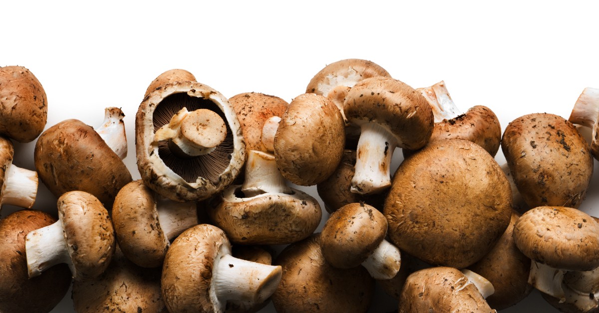 Hail the hearty, healthy mushroom!